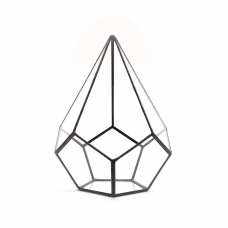 Геометрический флорариум «Капля» размер «L»